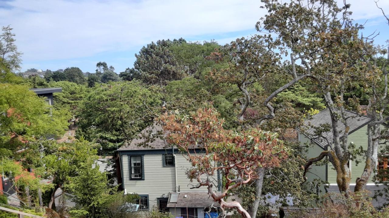ויקטוריה Sea Birds Cottage מראה חיצוני תמונה